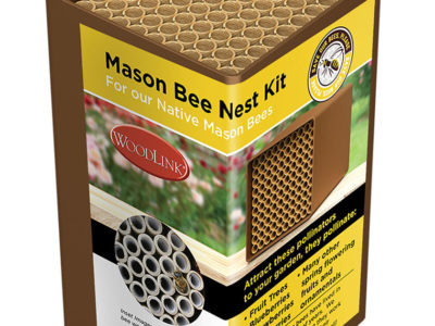 mason bee nest kit