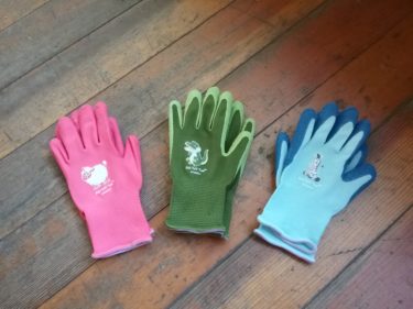 Kids Gloves Toddler