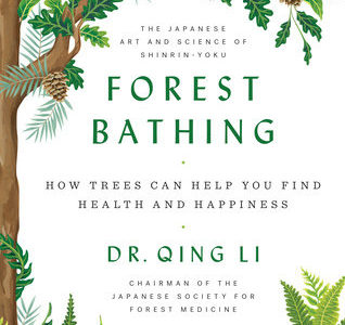 Forest Bathing