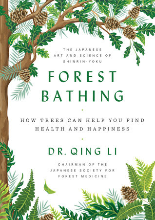 Forest Bathing Forest Bathing