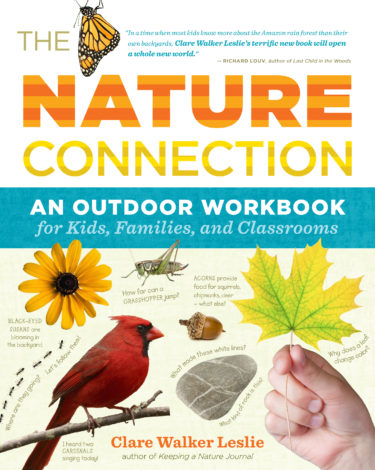 An Outdoor Workbook