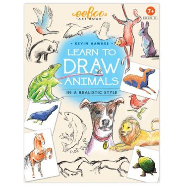 Eeboo Learn to Draw books at Northwest Nature Shop, Ashland Oregon