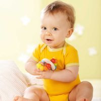 Haba Wooden Toys at Northwest nature Shop