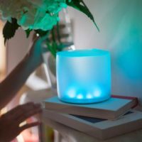 Luci Color Essence Solar Light at Northwest Nature Shop