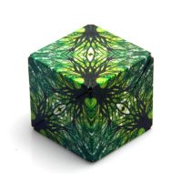 Shashibo Cube at Northwest Nature Shop in Ashland, Oregon