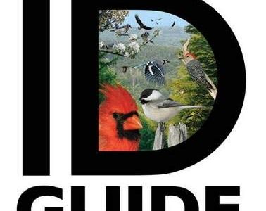 The Crossley ID Guide: Eastern Birds By Richard Crossley at Northwest Nature Shop in Ashland Oregon