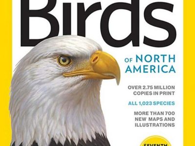 National Geographic Field Guide to the Birds of North America at Northwest Nature Shop in Ashland Oregon