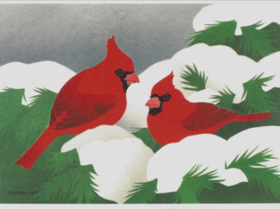 Holiday cards printed in the USA on 100% post-consumer waste recycled paper at Northwest Nature Shop, Ashland Oregon