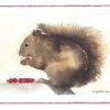 Squirrel holiday cards printed in the USA on 100% post-consumer waste recycled paper at Northwest Nature Shop, Ashland Oregon