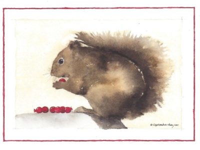 Squirrel holiday cards printed in the USA on 100% post-consumer waste recycled paper at Northwest Nature Shop, Ashland Oregon