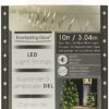 Wire LED electric string lights at Northwest Nature Shop, Ashland Oregon