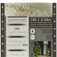 Wire LED electric string lights at Northwest Nature Shop, Ashland Oregon