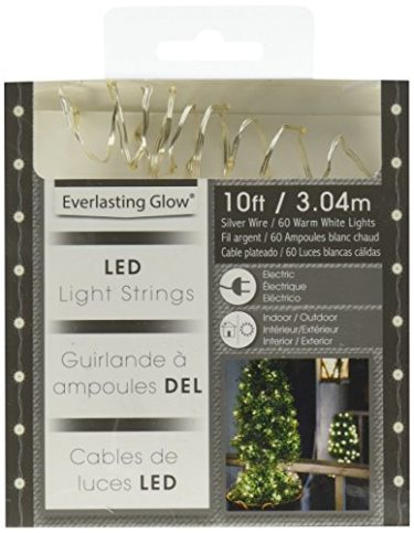 Wire LED electric string lights at Northwest Nature Shop, Ashland Oregon