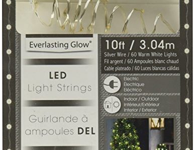 Wire LED electric string lights at Northwest Nature Shop, Ashland Oregon