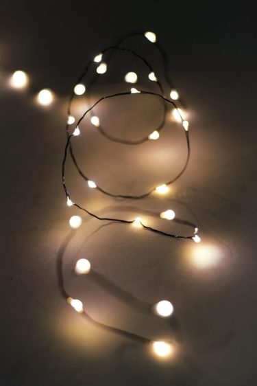 Wire LED electric string lights at Northwest Nature Shop, Ashland Oregon