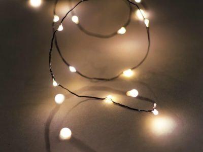 Wire LED electric string lights at Northwest Nature Shop, Ashland Oregon