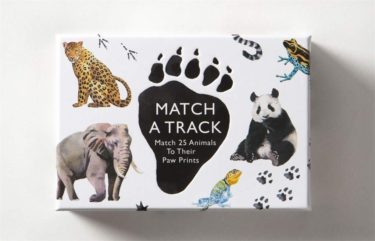 Match a Track Matching Game at Northwest Nature Shop in Ashland Oregon