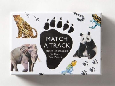 Match a Track Matching Game at Northwest Nature Shop in Ashland Oregon