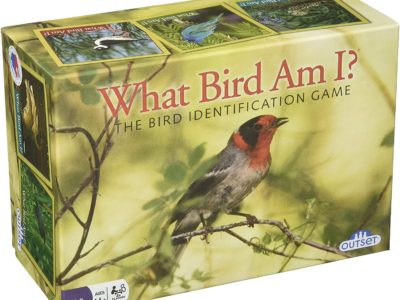 What Bird Am I? Bird Identification Game at Northwest nature Shop in Ashland Oregon