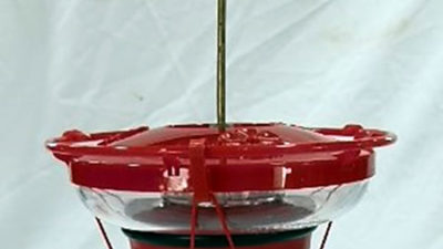 Hummer Hearth Feeder Heater at Northwest Nature Shop, Ashland Oregon