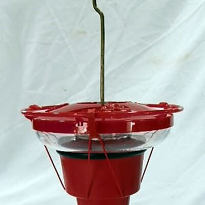 Hummer Hearth Feeder Heater at Northwest Nature Shop, Ashland Oregon