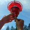 Hummer Hearth Feeder Heater