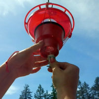 Hummer Hearth Feeder Heater