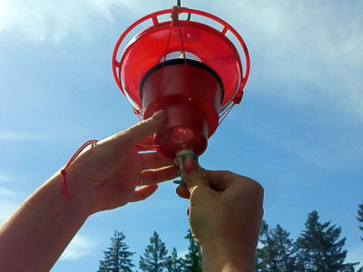 Hummer Hearth Feeder Heater