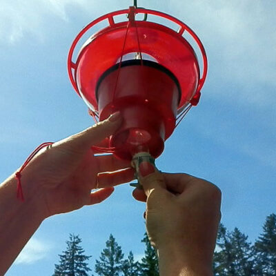 Hummer Hearth Feeder Heater