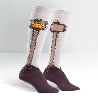 Sock it to me Ostrich Socks-at Northwest Nature Shop in Ashland Oregon