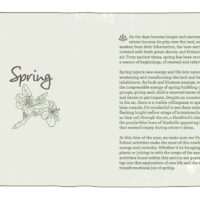 A Year of Forest School at Northwest Nature Shop in Ashland Oregon