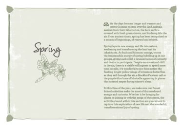 A Year of Forest School at Northwest Nature Shop in Ashland Oregon