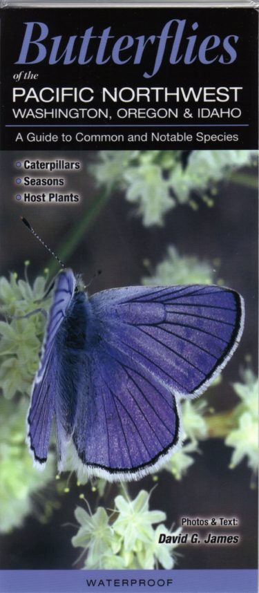 Butterflies of the Pacific Northwest