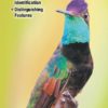 Hummingbirds of North America