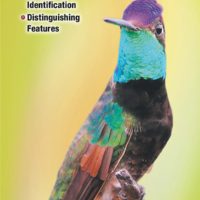 Hummingbirds of North America
