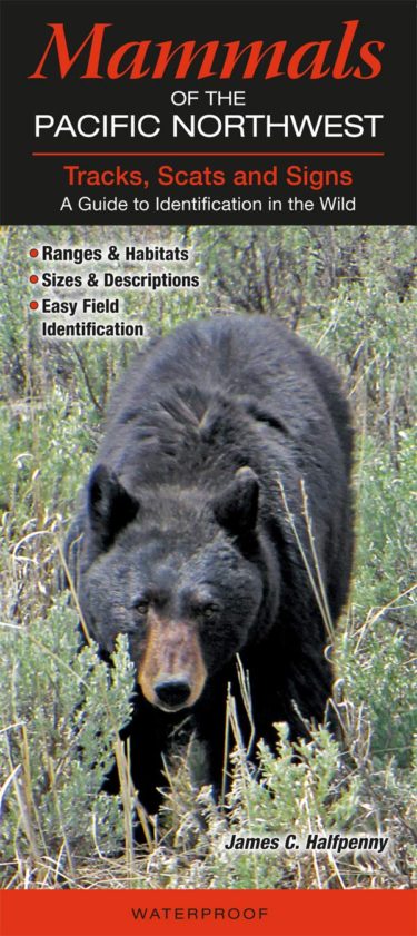 Mammals of the Pacific Northwest