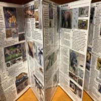 Mammals of the Pacific Northwest