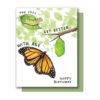Monarch Birthday Card at Northwest Nature Shop in Ashland Oregon