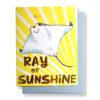 Ray of Sunshine Card at Northwest Nature Shop in Ashland Oregon
