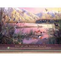 Great Salt Lake Shorelands Preserve