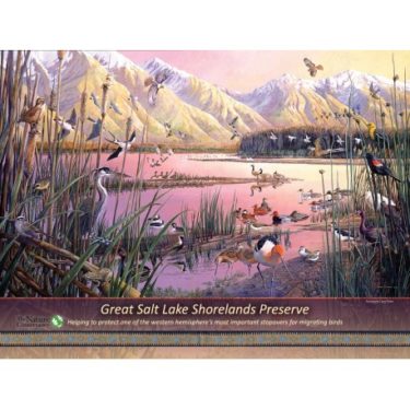 Great Salt Lake Shorelands Preserve