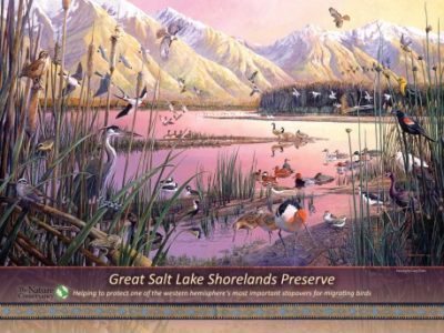 Great Salt Lake Shorelands Preserve