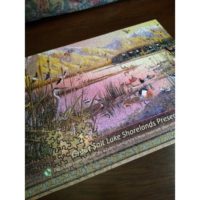 Great Salt Lake Shorelands Preserve