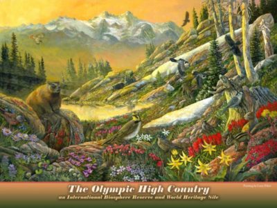 Olympic High Country