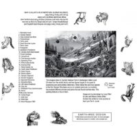 Olympic High Country