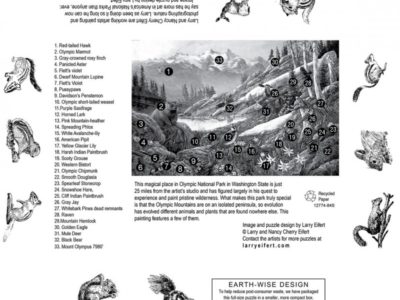 Olympic High Country