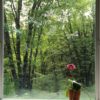 Dragonflies Window Gems