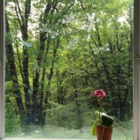 Dragonflies Window Gems