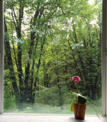 Dragonflies Window Gems