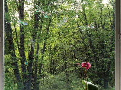 Dragonflies Window Gems